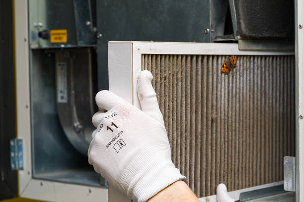 Best HVAC Duct Inspection Services  in Baudette, MN